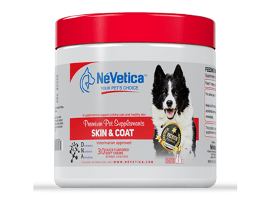 nevetica-Skin-and-Coat